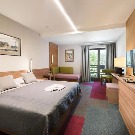 Hotel Visegrád Visegrád