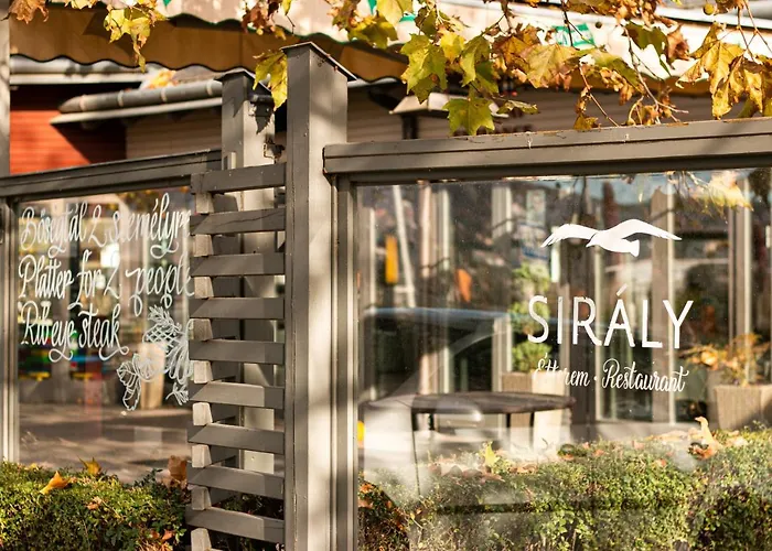 Hotel Visegrad מלון