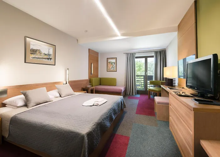 Hotel Visegrad וישגרד