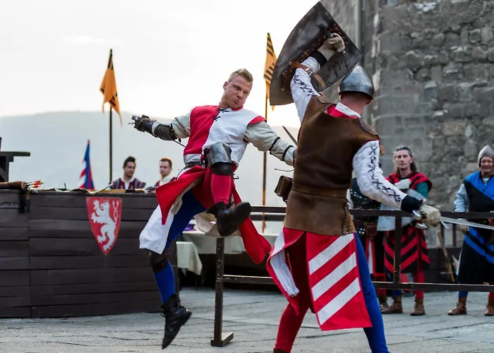 Hotel Visegrad מלון