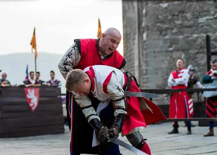 Hotel Visegrad מלון 4*