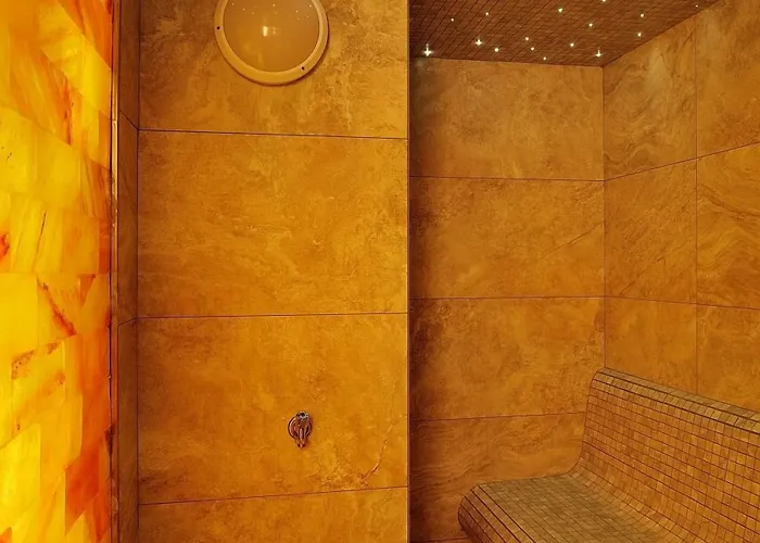 Hotel Visegrad מלון וישגרד