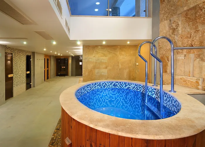 Hotel Visegrad מלון 4*